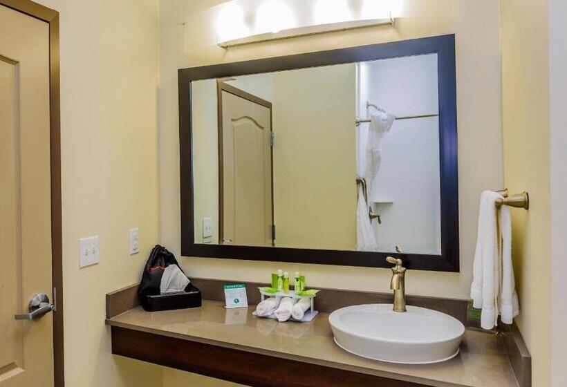 Стандартный Номер Кровать Кинг, Holiday Inn Express & Suites Cheektowaga North East, An Ihg