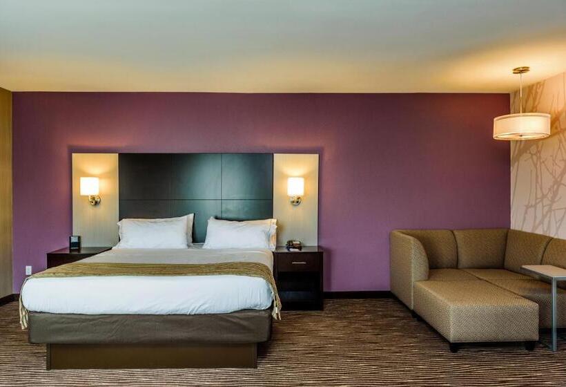 Номер Executive Кровать Кинг, Holiday Inn Express & Suites Cheektowaga North East, An Ihg