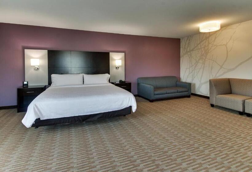 Номер Стандарт Кровать Кинг Адаптированный для Инвалидов, Holiday Inn Express & Suites Cheektowaga North East, An Ihg