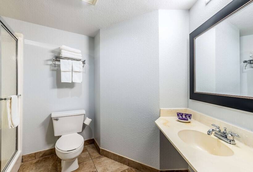 디럭스 룸, Americas Best Value Inn Searcy