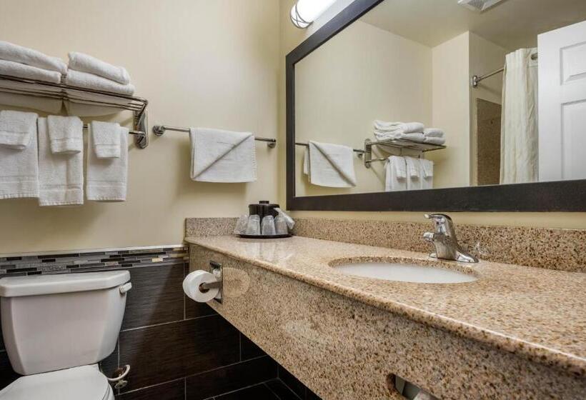 Номер Стандарт Адаптированный для Инвалидов, Mainstay Suites Grantville   Hershey North