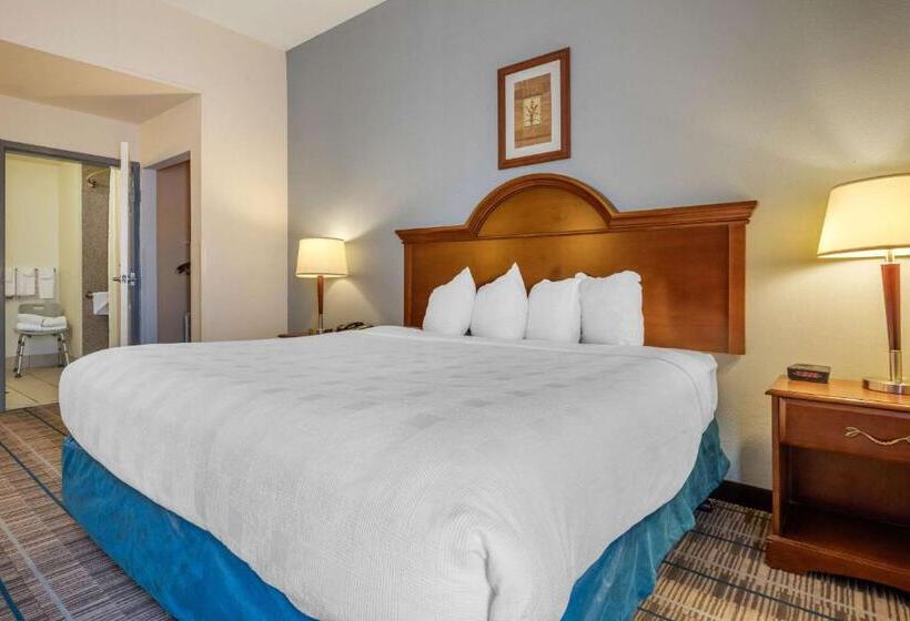 Номер Стандарт Кровать Кинг Адаптированный для Инвалидов, Mainstay Suites Grantville   Hershey North