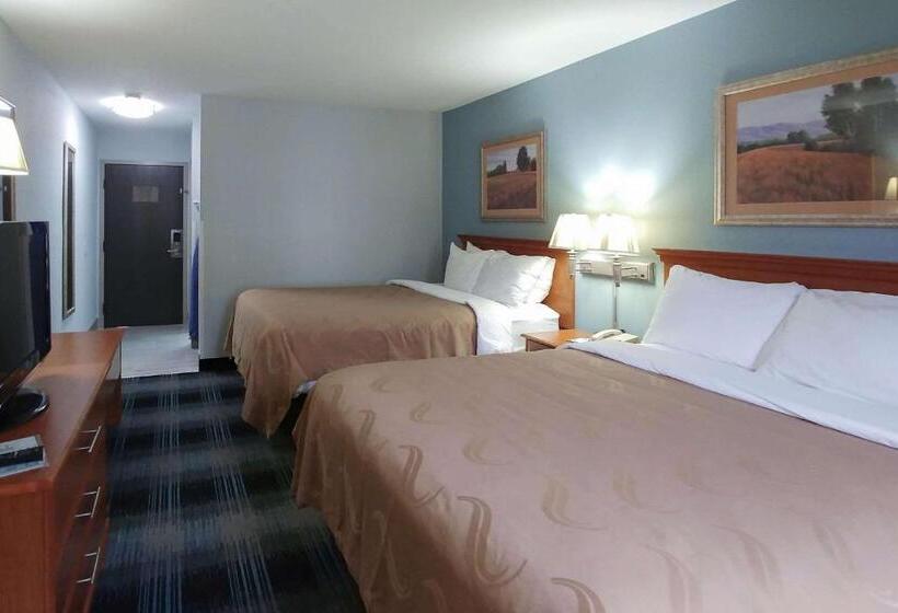 스탠다드 룸 더블 침대 2개, Quality Inn Dublin I81