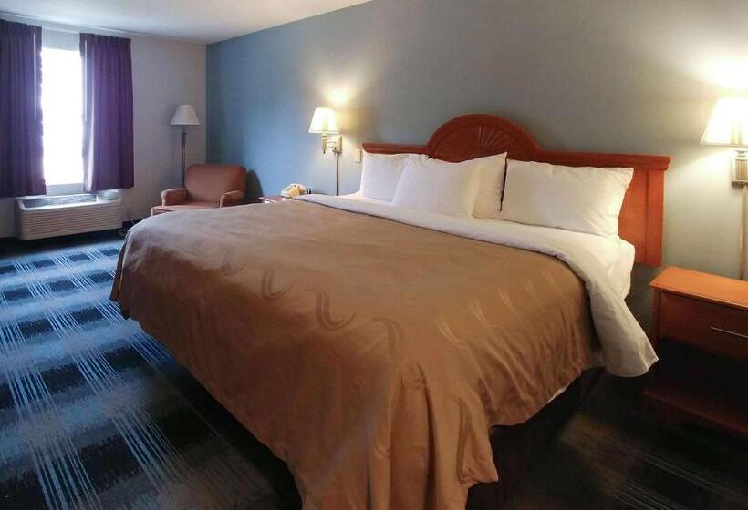 장애인을 위한 킹사이즈 침대 스탠다드 룸, Quality Inn Dublin I81