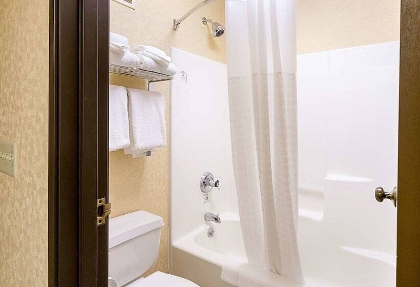 스탠다드 룸 더블 침대 2개, Quality Inn Parkersburg Northvienna