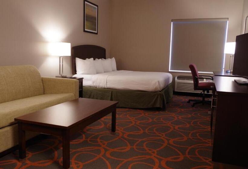 Номер Стандарт Кровать Кинг Адаптированный для Инвалидов, Baymont By Wyndham O Fallon St. Louis Area