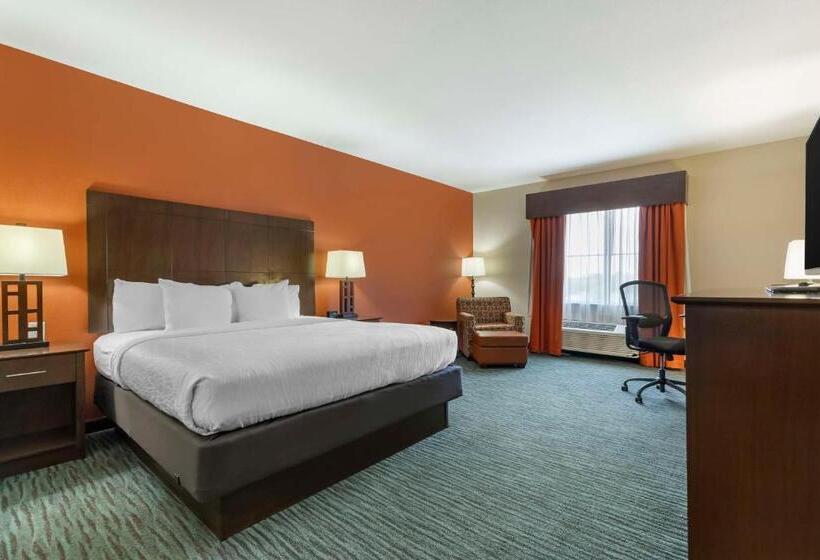 스탠다드 룸 킹사이즈 침대, Best Western Plus Longhorn Inn & Suites