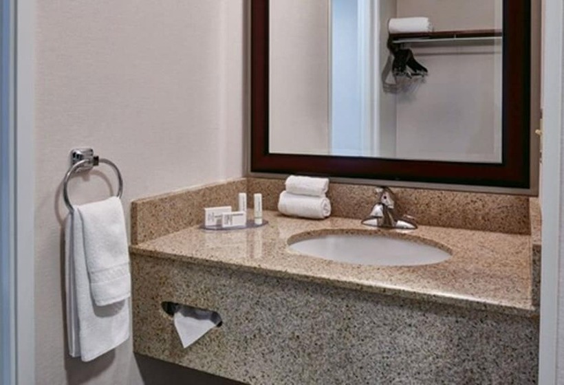 스탠다드 룸 더블 침대 2개, Fairfield Inn & Suites Detroit Livonia