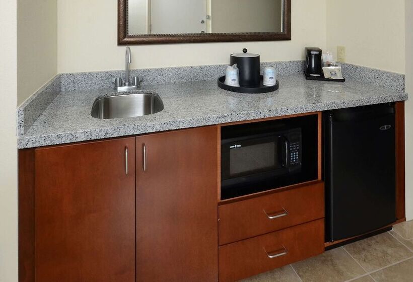带双人床的标准工作室, Hampton Inn & Suites Lynchburg