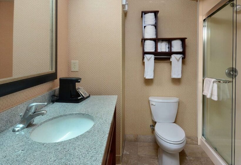 带大床的标准间, Hampton Inn & Suites Lynchburg