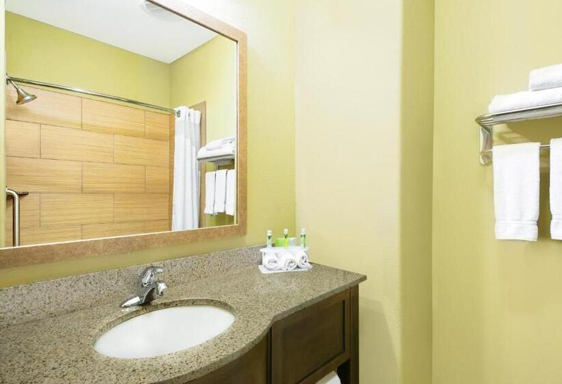 스위트 킹사이즈 침대, Holiday Inn Express Hotel And Suites Monahans I 20, An Ihg