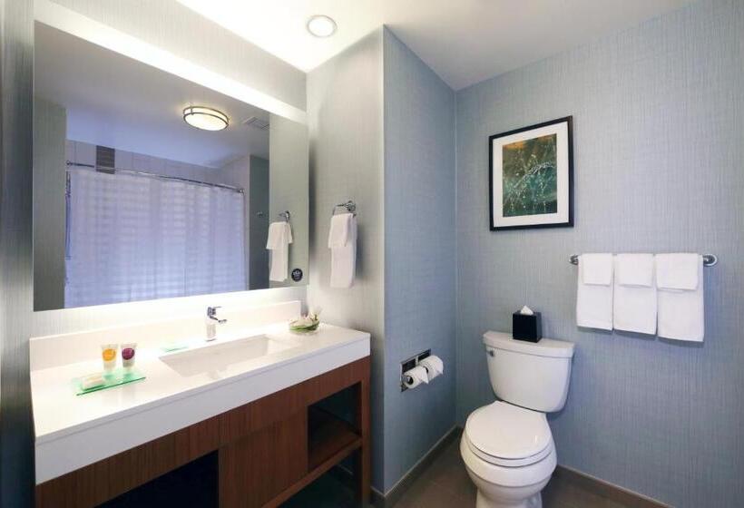 اتاق استاندارد با تخت بزرگ, Hyatt Place Flushing/lga Airport