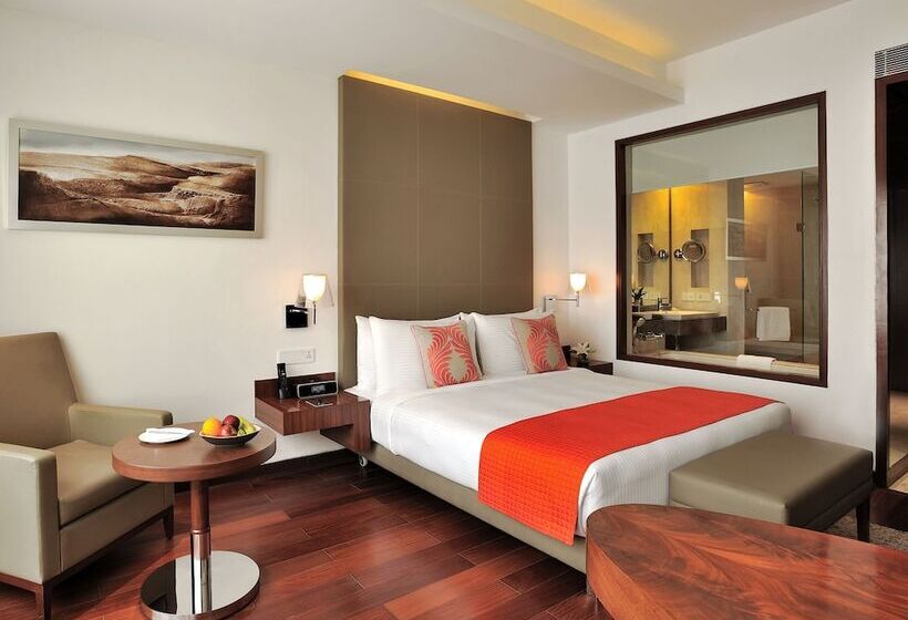 اتاق استاندارد, The Anya Hotel, Gurgaon