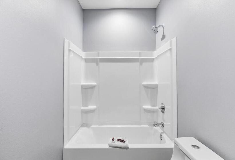 Suíte Cama King, El Delfin Lodge