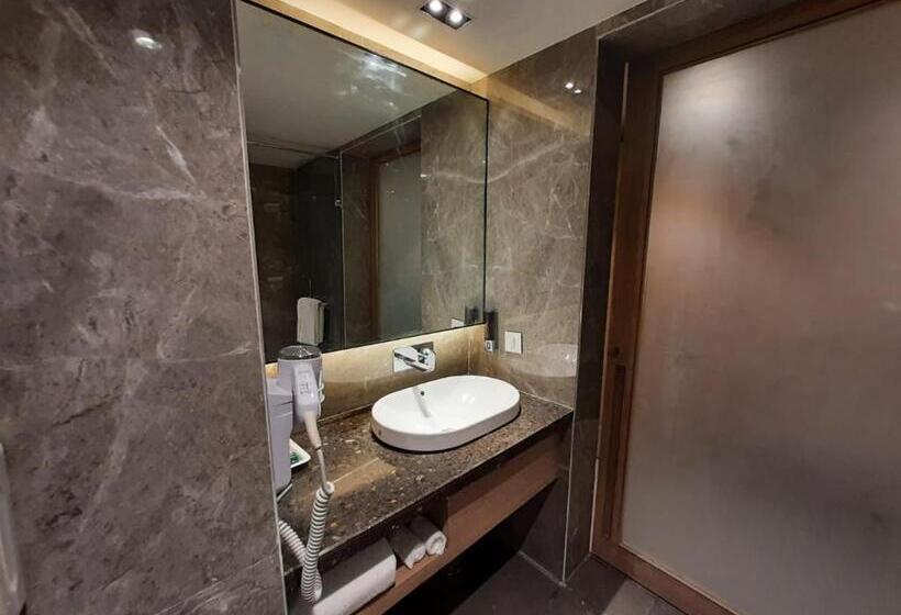 标准间, Grand Sarovar Portico, Latur