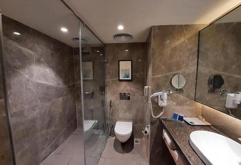 Номер Стандарт, Grand Sarovar Portico, Latur