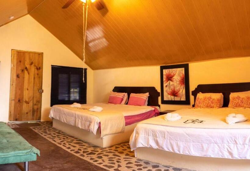 デラックスの４人部屋, Refugio Cariguana