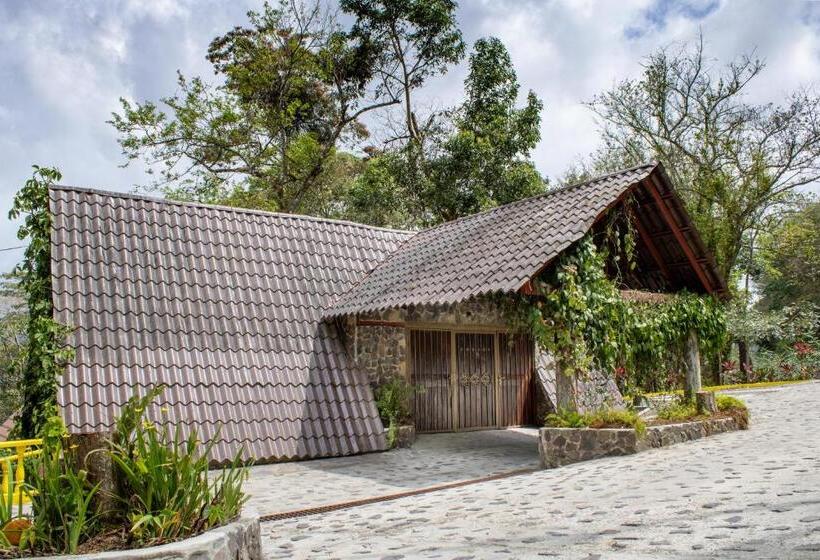 スタンダードスタジオ, Refugio Cariguana