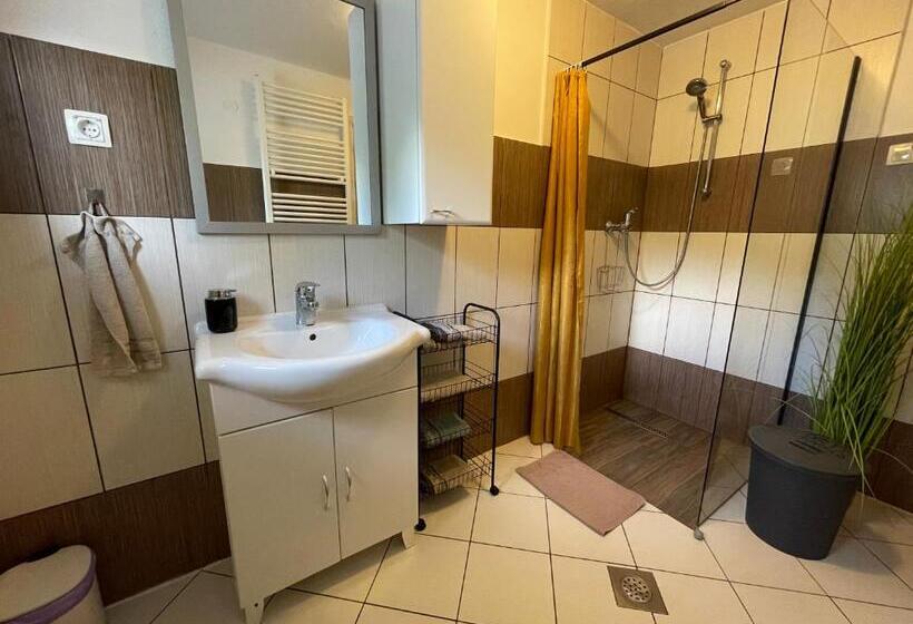 اتاق استاندارد چهارنفره با سرویس بهداشتی مشترک, Dolar Rooms