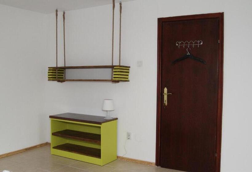 اتاق استاندارد با سرویس بهداشتی مشترک, Vila Toate Panzele Sus