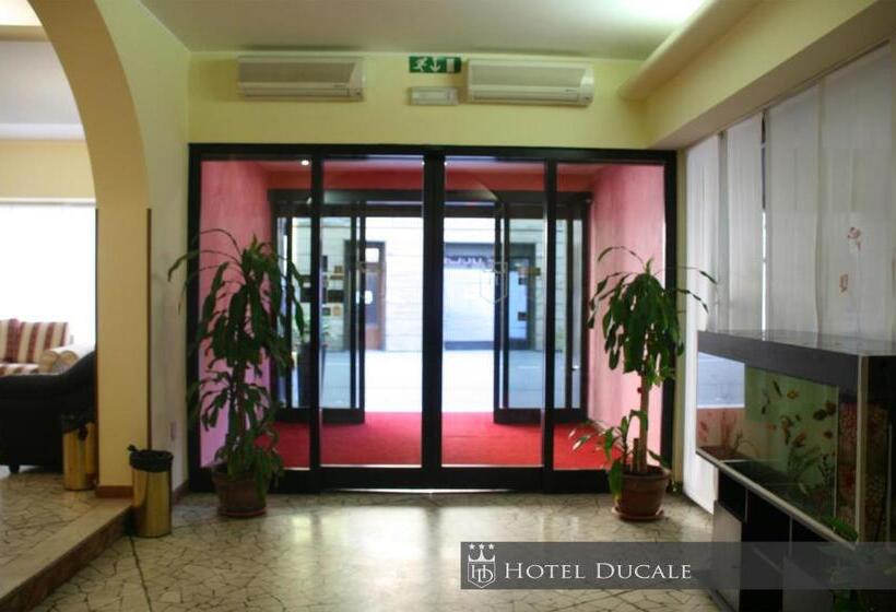 Номер Стандарт, Ducale