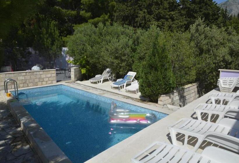 Номер Стандарт, Villa Avantgarde