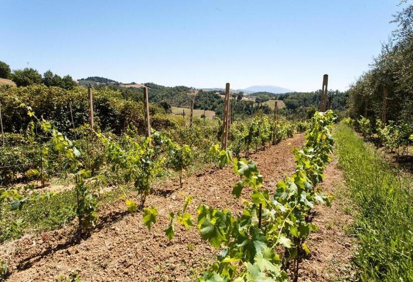 Дом 1 Спальня, Podere Caldaruccio La Pineta