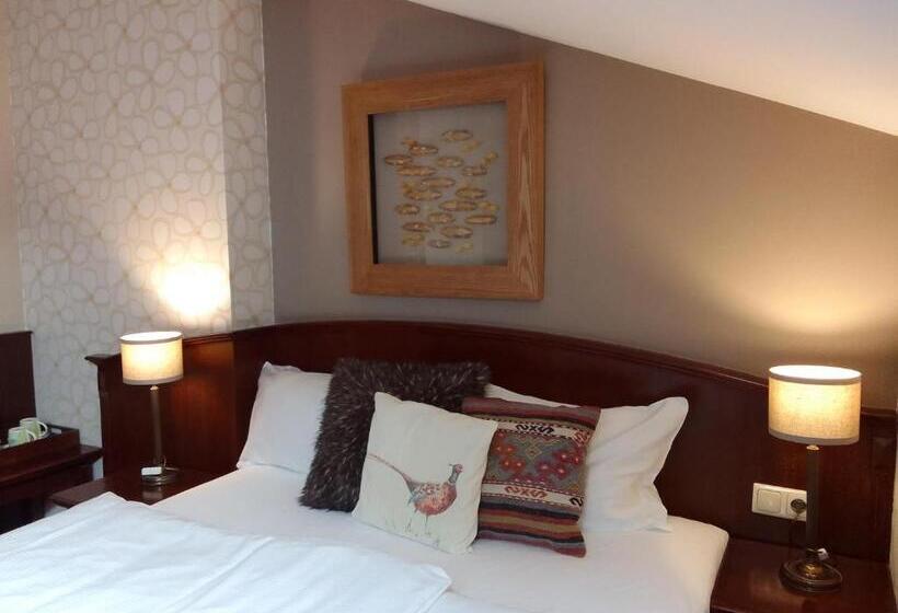 Номер Superior, Stare Miasto Old Town