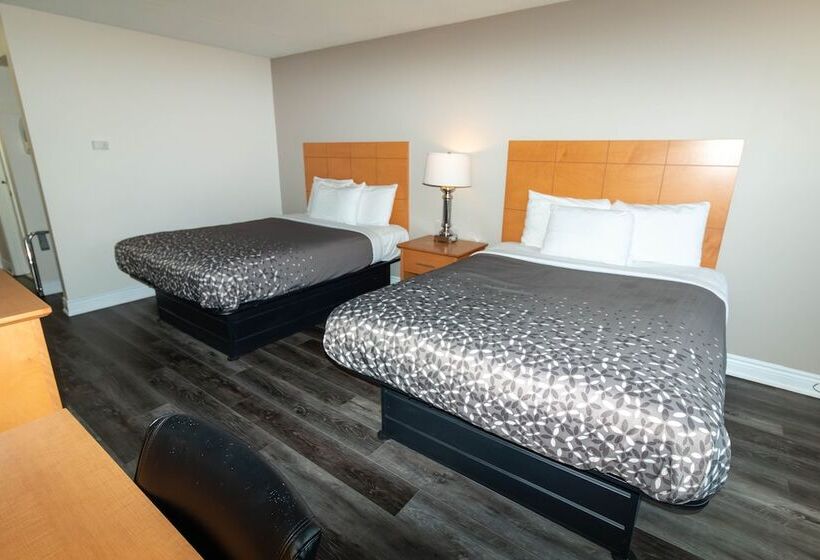 标准间, Borden Inn And Suites