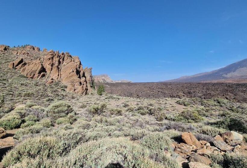 Апартаменты 1 Спальня, Santa Maria Hovima,adeje Ocean View, Tenerife