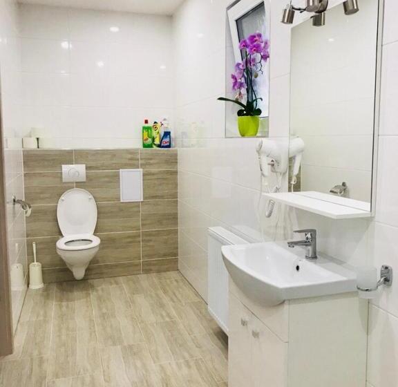 דירת חדר סופריור, Panorama Apartments