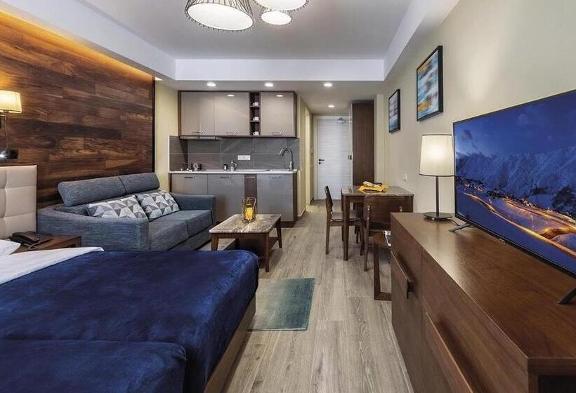 استودیوی استاندارد, Residence Gudauri Hills