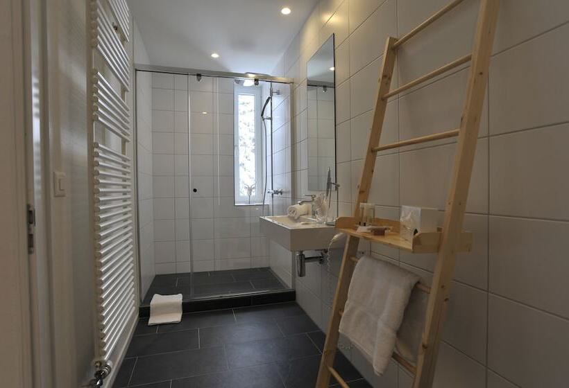 اتاق استاندارد, Blatter S Arosa Hotel & Bella Vista Spa