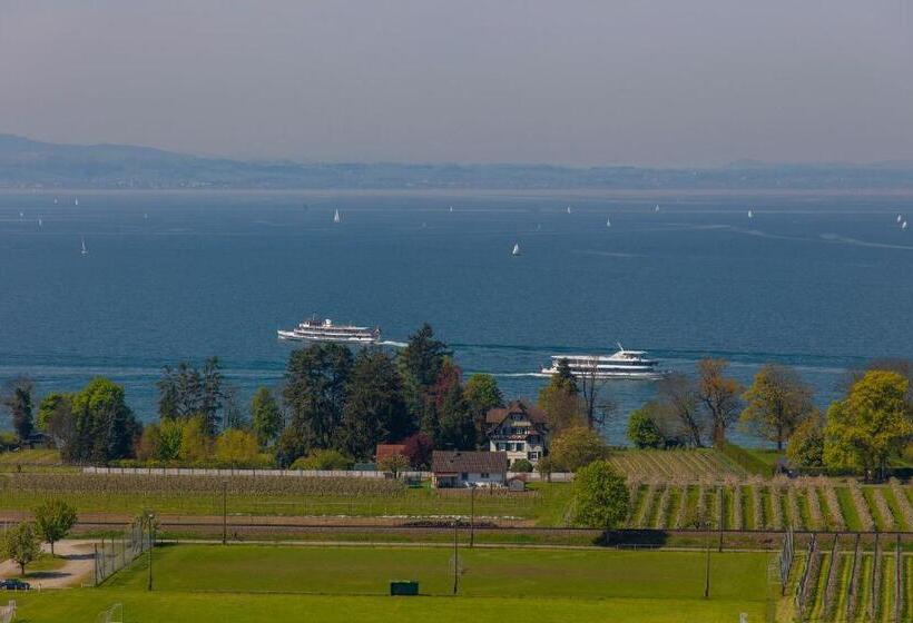 Пентхаус Люкс, Bodensee Hotel Sonnenhof