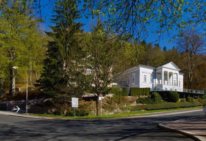 Номер Deluxe, Gourmet Hotel Villa Patriot