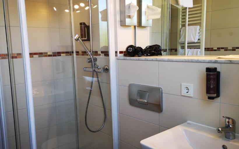 Стандартный Номер Кровать Кинг, Boutique Hotel & Bio Wirtshaus Schwarzer Bock
