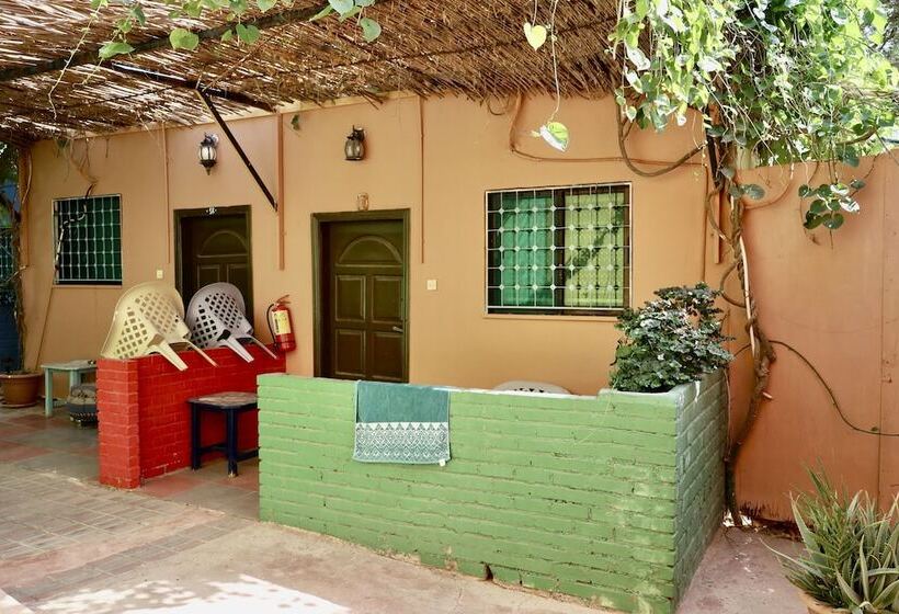اتاق استاندارد, Bedouin Garden Village, Hotel Dive