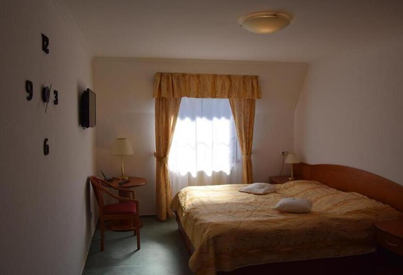 Номер бизнес-класса, Anna Spa & Wellness Hotel Nejdek