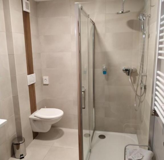 Номер бизнес-класса, Anna Spa & Wellness Hotel Nejdek