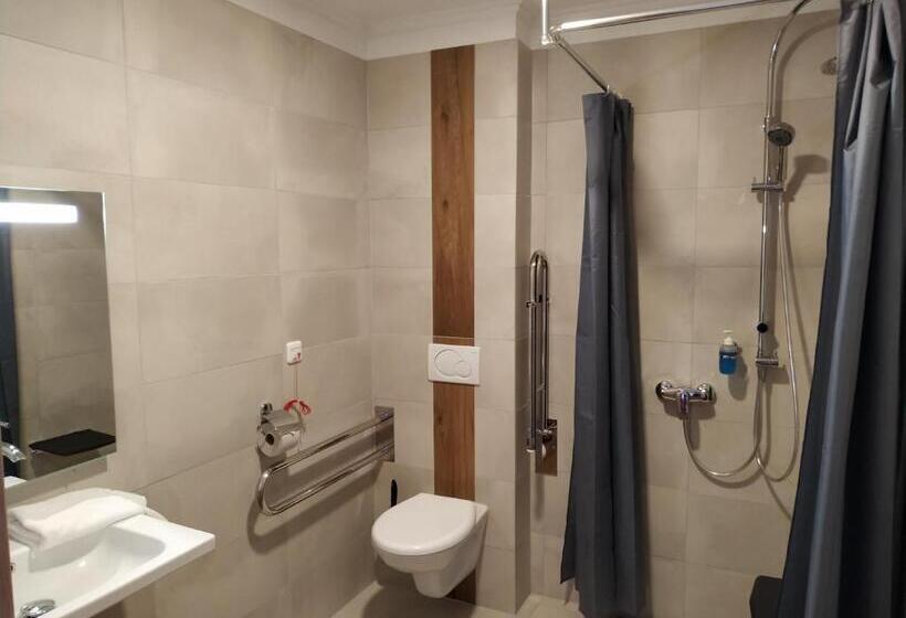 Номер Стандарт Кровать Кинг Адаптированный для Инвалидов, Anna Spa & Wellness Hotel Nejdek