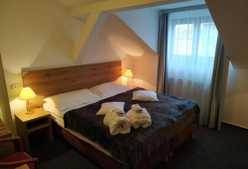 Номер Стандарт с Гидромассажем, Anna Spa & Wellness Hotel Nejdek