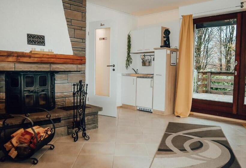 带1个卧室的公寓, Privatzimmer Bellevue