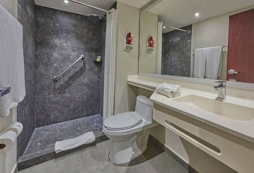 Номер Стандарт 2 Двуспальные Кровати, City Express By Marriott Playa Del Carmen
