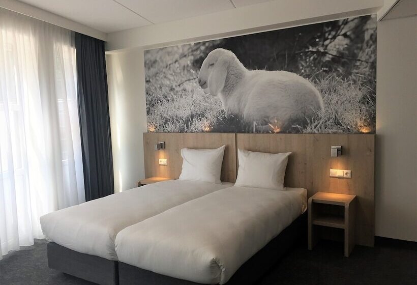 Номер Стандарт, De Bonte Wever Assen