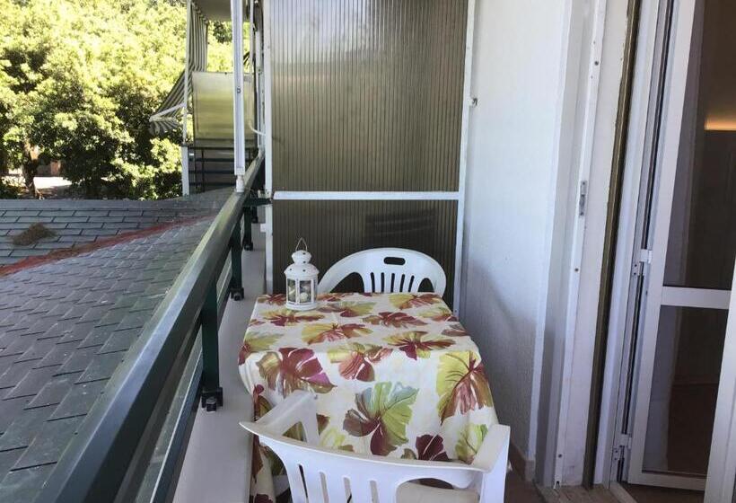 带1个卧室的豪华公寓, La Coccinella