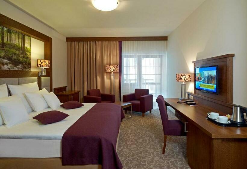Номер Superior, Mercure Krynica Zdrój Resort&spa