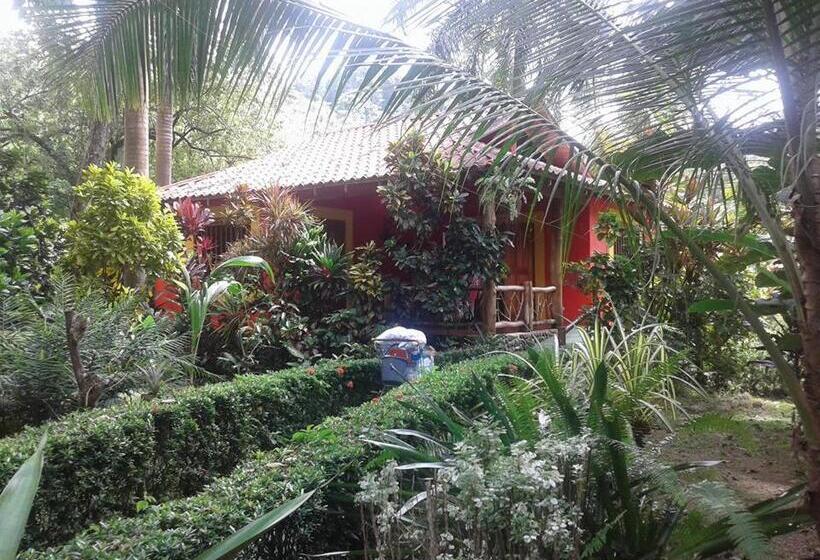 Вилла 1 Спальня, La Palapa Eco Lodge Resort