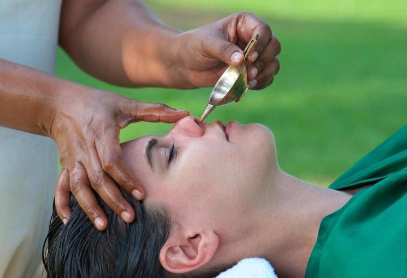 Дом 1 Спальня, Soma Manaltheeram Ayurveda Beachvillage