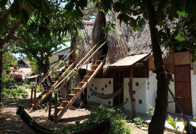 Quarto Estandar, Maria Mulata Palomino