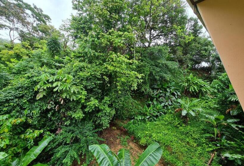 Четырехместный Номер Стандарт, Ceiba Lodge